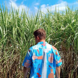 Men’s Shirt " Mr.Bluesky "